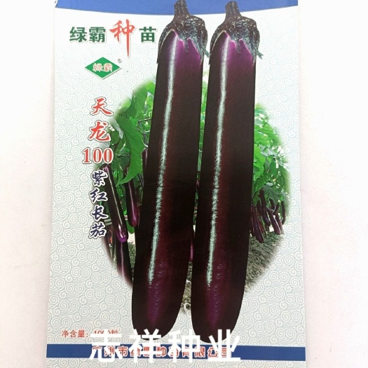 华容县绿霸种苗天龙100紫红长茄子种子 烧烤茄 粗棒茄种籽春秋季播