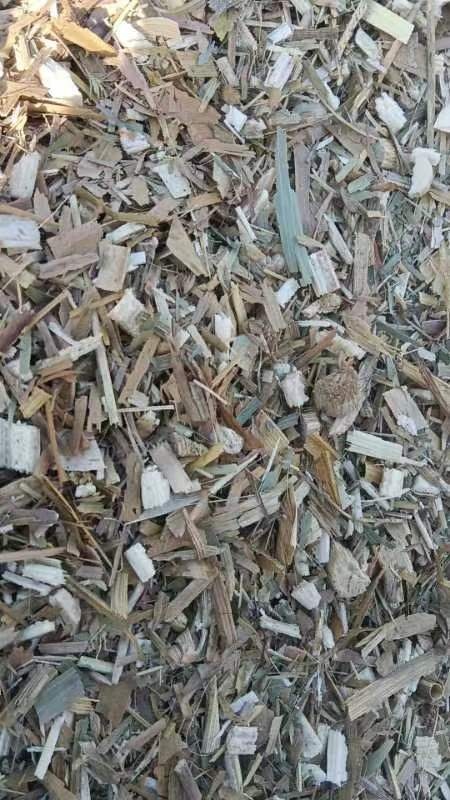 迁安市人工扎段玉米秸秆