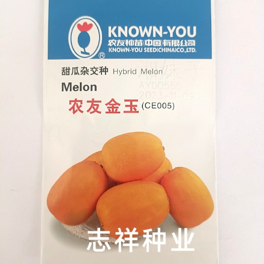 农友金玉黄色甜瓜种子 皮金黄色 肉白色 水果甜瓜香瓜种
