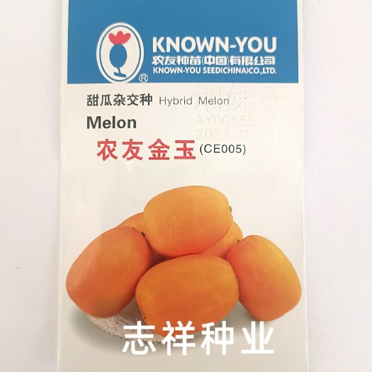 华容县农友金玉黄色甜瓜种子 皮金黄色 肉白色 水果甜瓜香瓜种