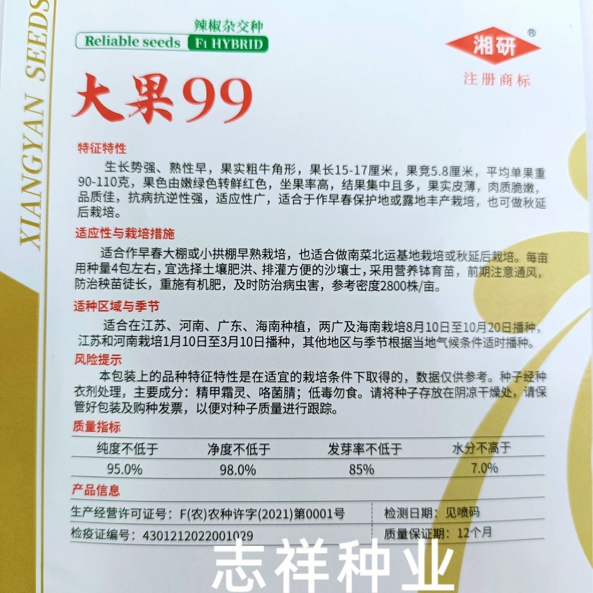 湖南湘研大果99辣椒种子早熟优质微辣粗长牛角椒籽皮薄肉脆嫩