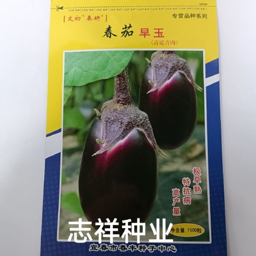 华容县春研文初春茄早玉荷包茄种子 青底青肉 极早熟椭圆茄子种籽包邮