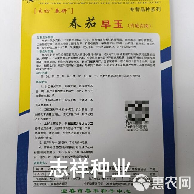 春研文初春茄早玉荷包茄种子 青底青肉 极早熟椭圆茄子种籽包邮