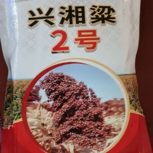 长沙兴湘粱2号