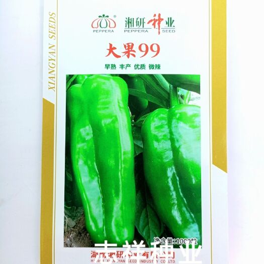 华容县湖南湘研大果99辣椒种子早熟优质微辣粗长牛角椒籽皮薄肉脆嫩