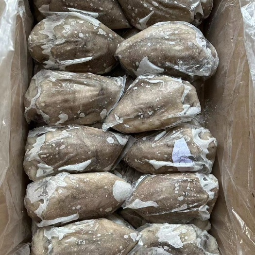 墨鱼，单冻大墨鱼