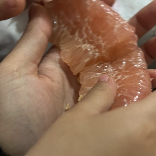 封开县三红柚