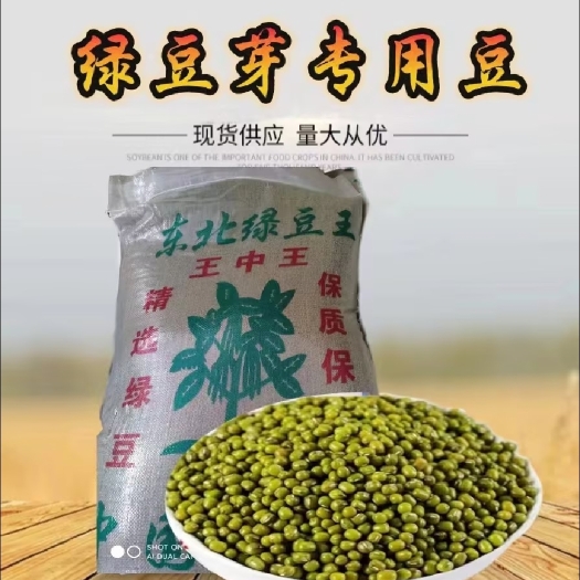 东北绿芽豆当季新豆-高出芽率97以上-绿芽豆王中王中粒绿豆