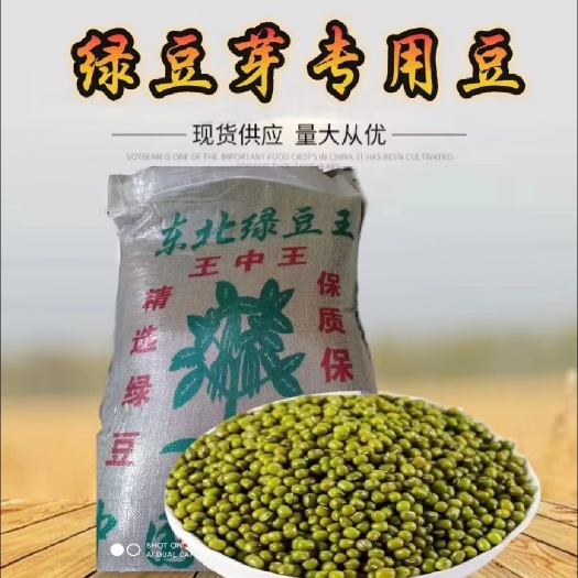 东北绿芽豆当季新豆-高出芽率97以上-绿芽豆王中王中小粒绿豆
