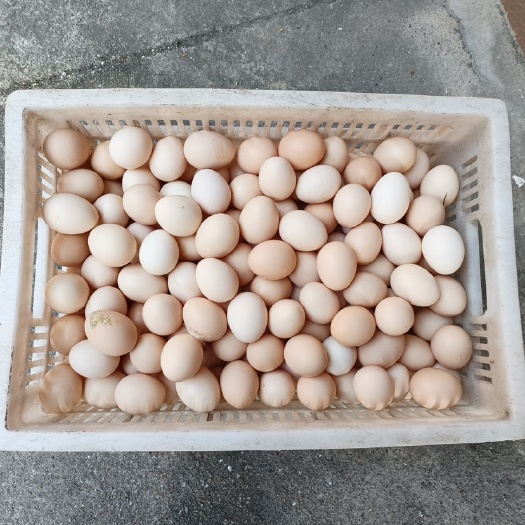 泰州土鸡蛋