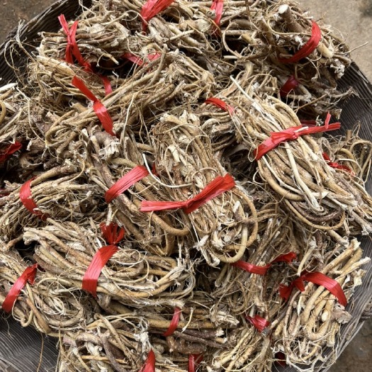 贺州小扎，小扎吧，五指毛桃，香味浓郁