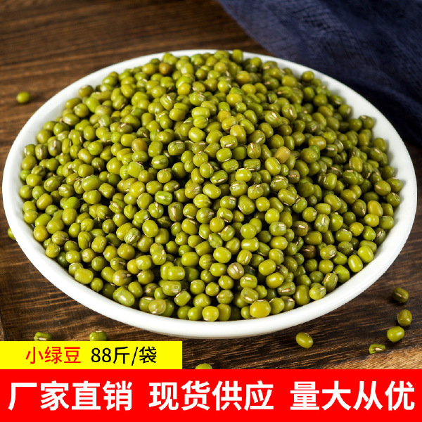 四海精品芽豆王中王-绿豆绿芽豆-东北黑龙江绿豆精品芽豆