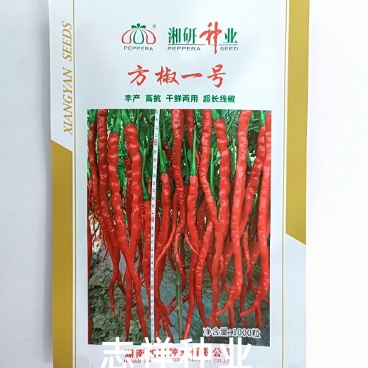湖南辣椒种 湘研种业方椒一号干鲜两用超长线椒种子 中熟味辣