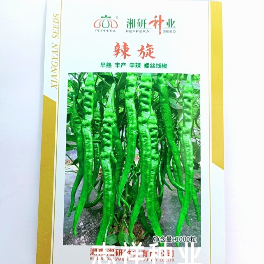 华容县湘研辣旋辣椒种子螺丝线椒种子皮薄味辣细长 早熟螺丝椒种耐低温