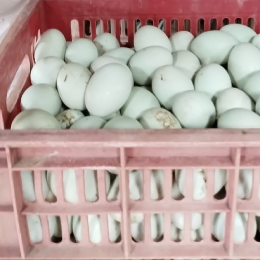 邻水县红心鸭蛋