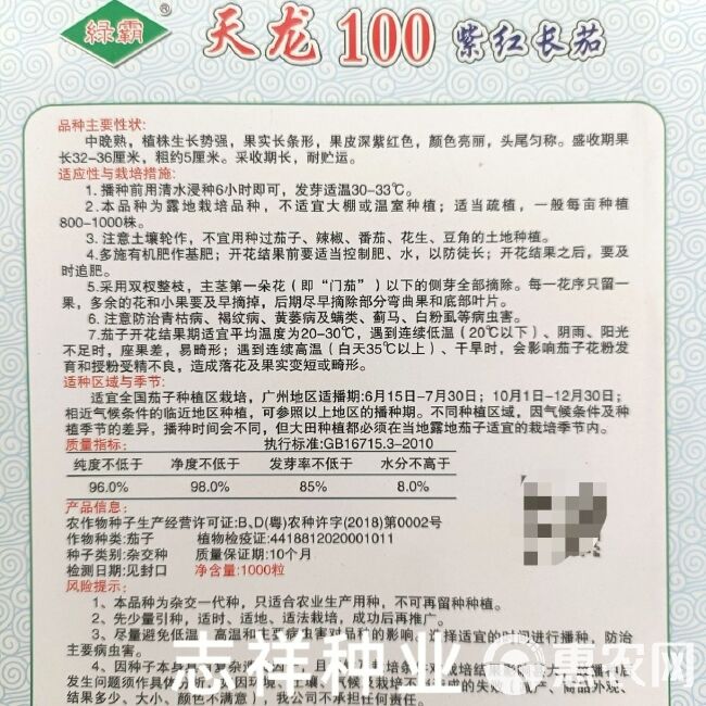 绿霸种苗天龙100紫红长茄子种子 烧烤茄 粗棒茄种籽春秋季播