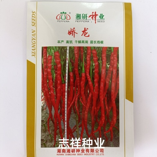 湖南超长线椒种子干鲜两用特辣湘研种业娇龙青红辣椒种籽高抗丰产