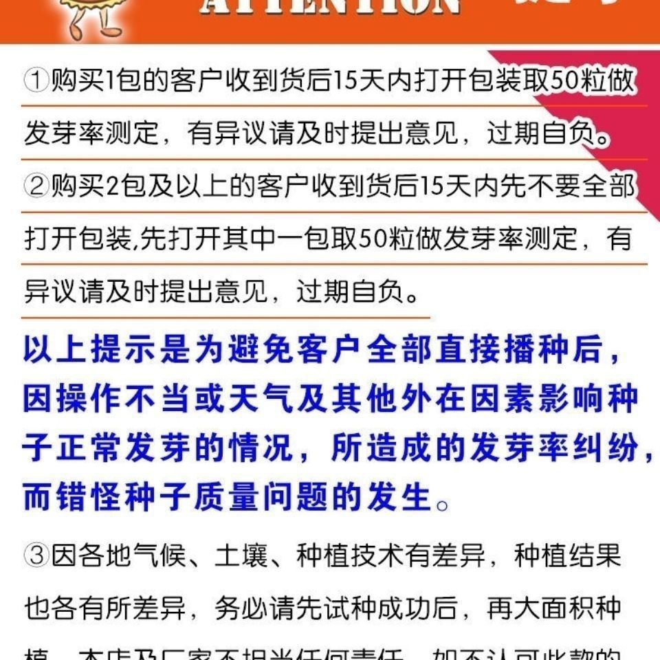 湖南湘研大果99辣椒种子早熟优质微辣粗长牛角椒籽皮薄肉脆嫩