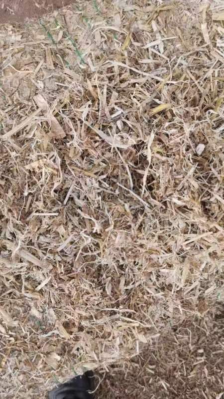 建平县揉丝玉米秸秆