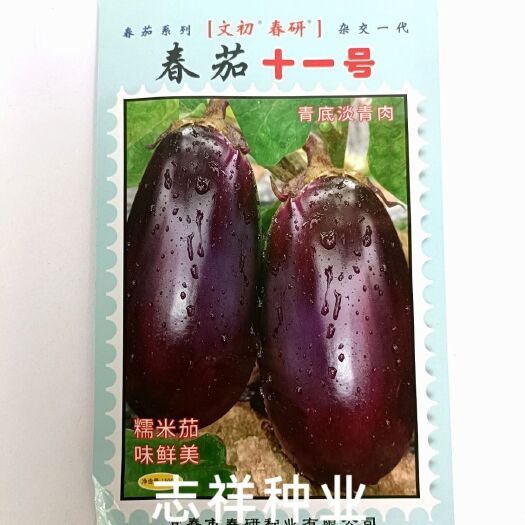 华容县春研春茄十一号茄子种子青底青肉紫红色糯米茄烧烤茄种籽耐寒抗病