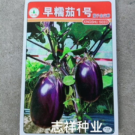 华容县基地种植 兴蔬早糯茄1号茄子种子 糯米茄卵圆形紫红茄子10克