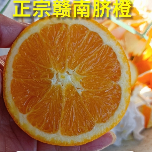 崇义县赣南脐橙产地直发现采现摘鲜嫩多汁当季水果橙子