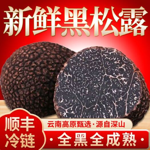 新鲜黑松露野生云南黑松露新鲜 保鲜速达 顺丰包邮
