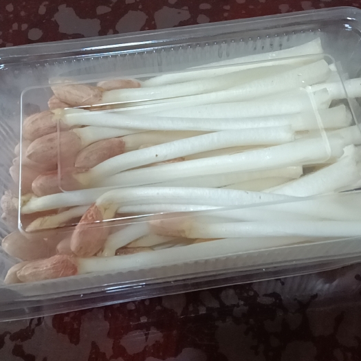 辽阳花生牙