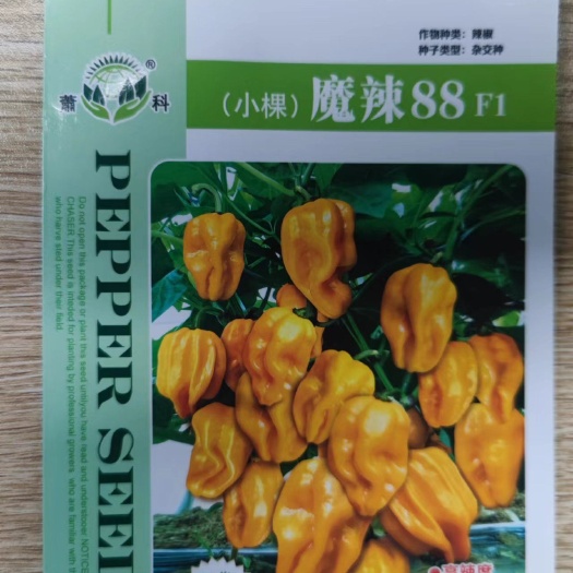 萧县辣味强劲，是加工黄辣椒酱及提取辣椒色素原料之一