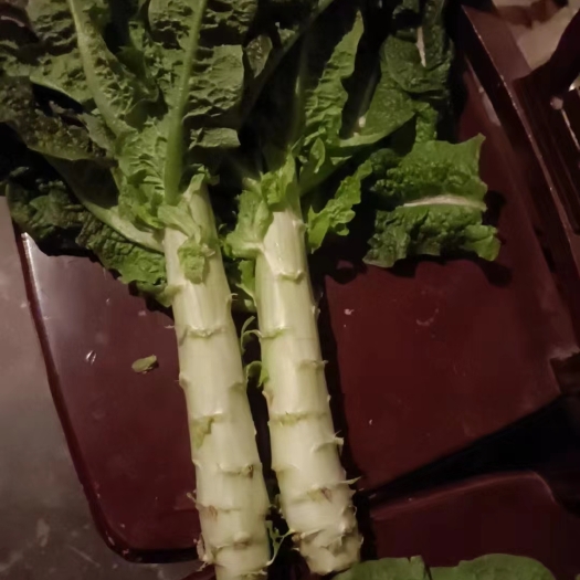 荆州湖北荆州李埠精品窝笋