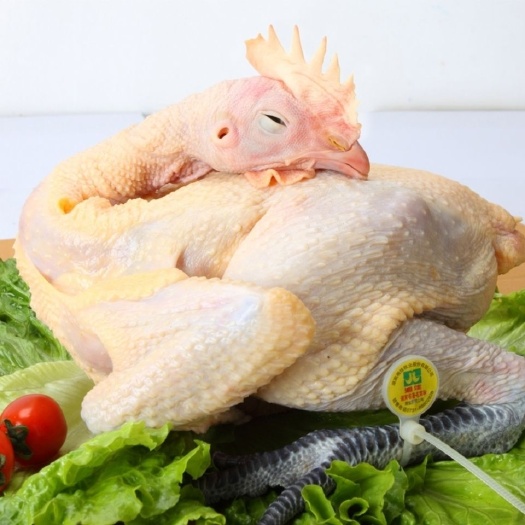 冷冻青脚麻鸡麻母鸡散养黑爪鸡白条鸡工厂直发质量有保证量大优惠