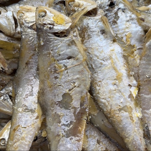 滨州马口鱼，熟鱼，即食
