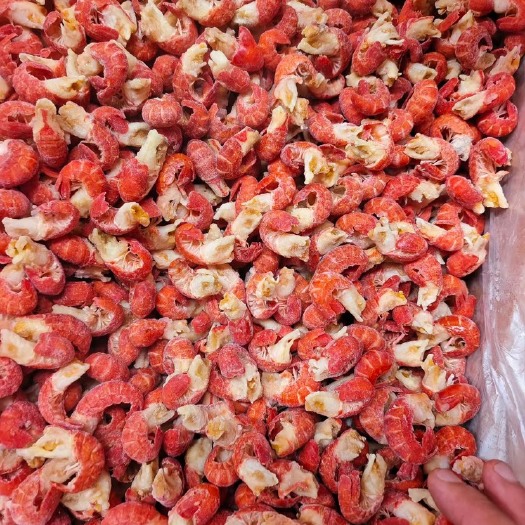潜江市干冻龙虾尾，不带冰衣的虾尾，液氮虾尾，源头工厂供应，全国批发