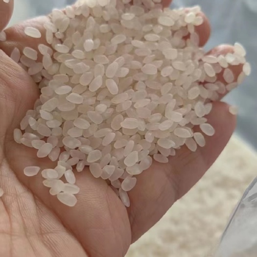 哈尔滨珍珠米