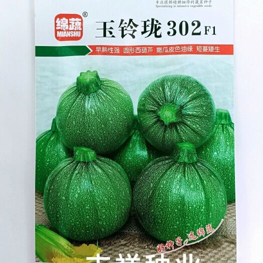 华容县四川绵蔬 玉玲珑302圆西葫芦种子短蔓 早熟油绿色小圆嫩南瓜
