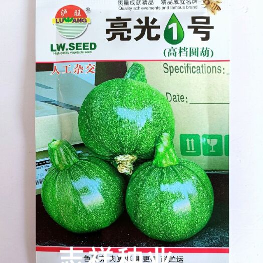 华容县泸旺亮光1号圆形西葫芦种子F1早熟短蔓型小圆嫩南瓜脆嫩味甜