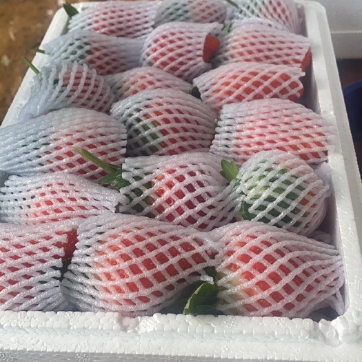沂南县甜茶理草莓