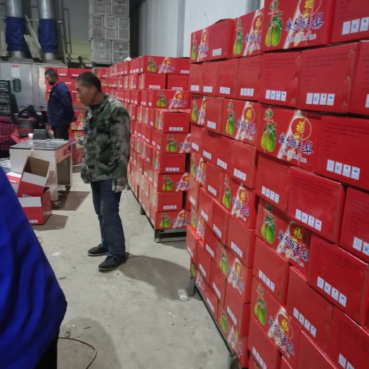 赵县香梨 礼盒 可定量加工