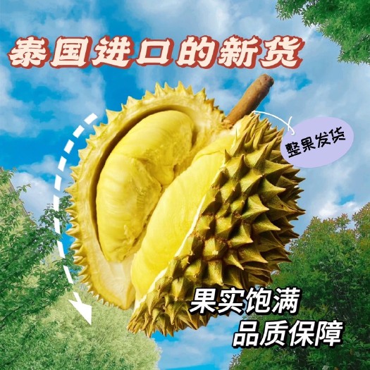【一件代发】泰国金枕头榴莲当季水果带壳一整个现货