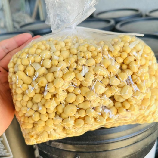 兰陵县黄金针菇（4斤装）
