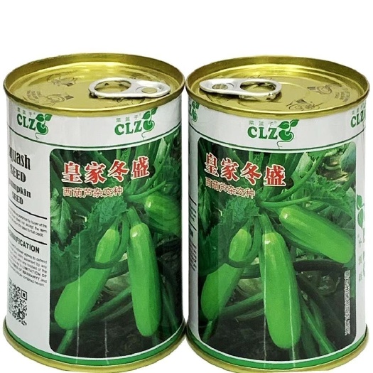 沭阳县皇家冬盛西葫芦种子产高越冬耐寒坐果强油量翠绿抗病大田专用种孑