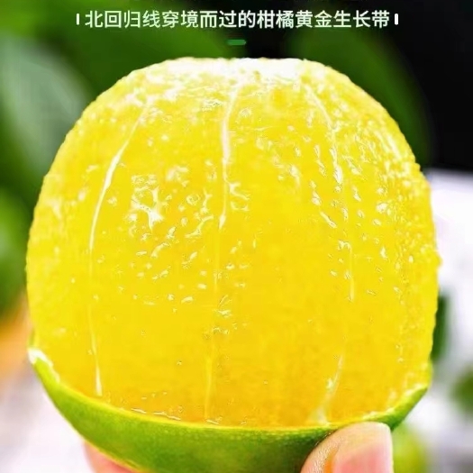 毕节德庆皇帝柑