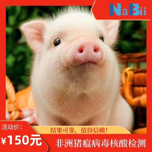 重庆市非洲猪瘟病毒核酸检测！