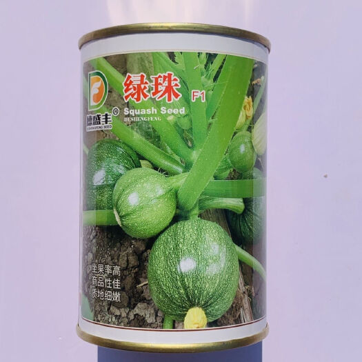 沭阳县绿珠F1西葫芦种子中晚熟圆形西葫芦耐寒抗逆春秋抗病产高占瓜种
