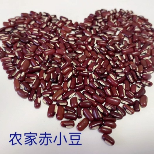 2023新货农家赤小豆小薏米仁 赤小豆薏仁原料煮粥五谷杂粮非