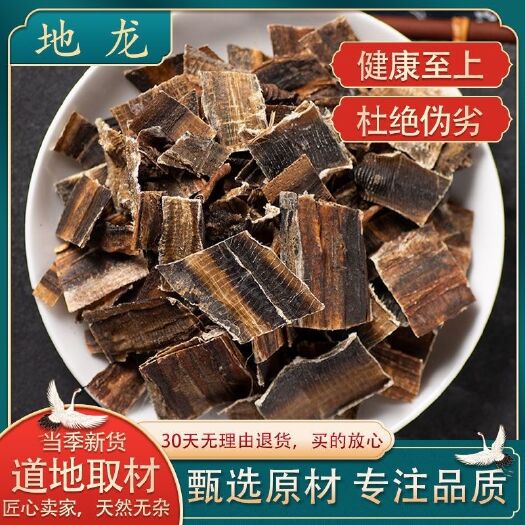 地龙 广地龙 全开 地龙个子 无泥广地龙片