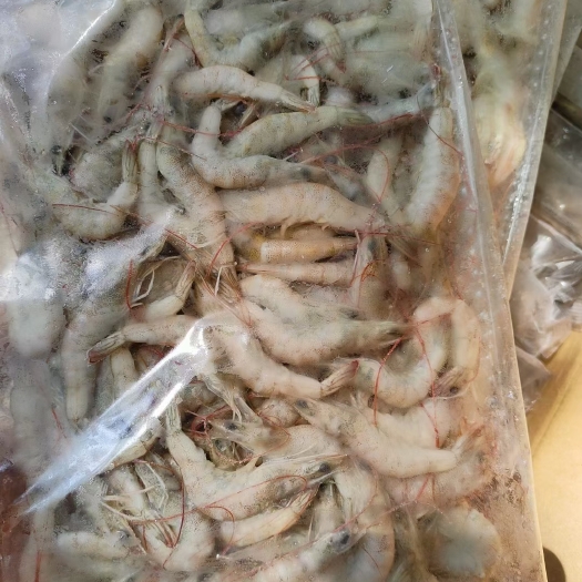 80来头（小虾），大量批发