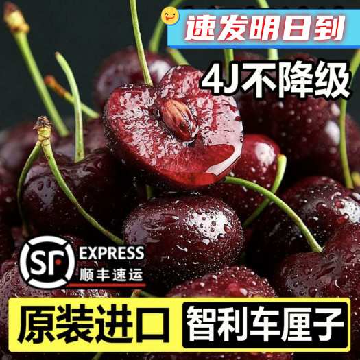 昆明智利车厘子，顺丰空运，对接电商，全国一件代发，隔天到货