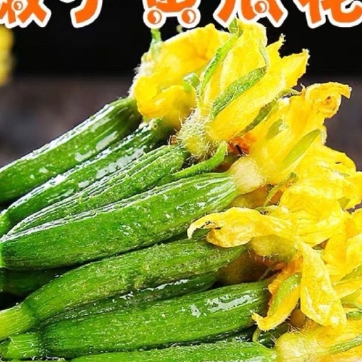 寿光【产地直发】新鲜小黄瓜花，小青瓜花，小乳瓜，小嫩黄瓜花