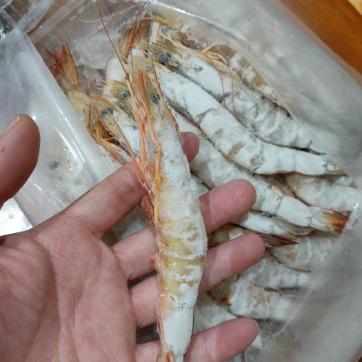 北海（大明虾）20/22头规格